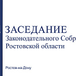 Видеозапись тридцать восьмого заседания Законодательного Собрания Ростовской области