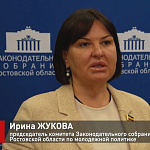 Заседание комитета по взаимодействию с общественными объединениями и молоденой политике
