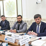 Николай Ромашенко принял участие в заседании Совета Палаты молодых законодателей в Совете Федерации