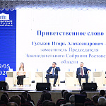 Молодежные парламенты будут транслировать лучшие проекты по развитию села в своих муниципалитетах 