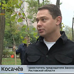 Областной субботник и День древонасаждения